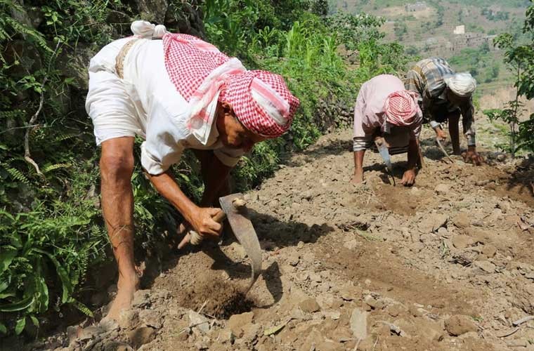 Chiem nguong nhung ngoi lang tren nui o Yemen-Hinh-17